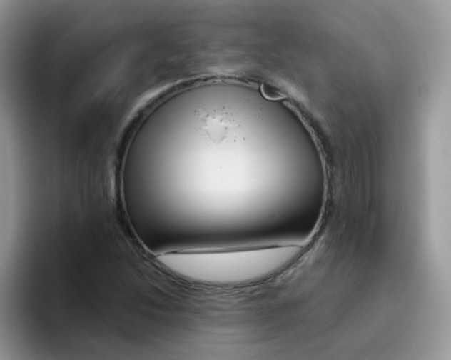 X0000095921214200802081106