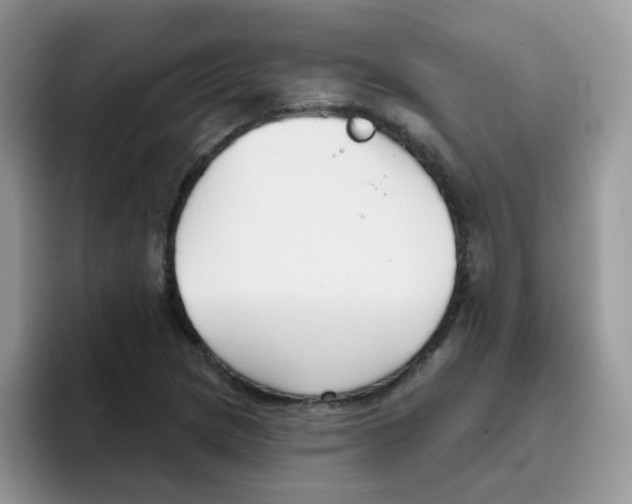 X0000095921217200802081106