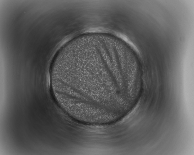 X0000095921221200802081106