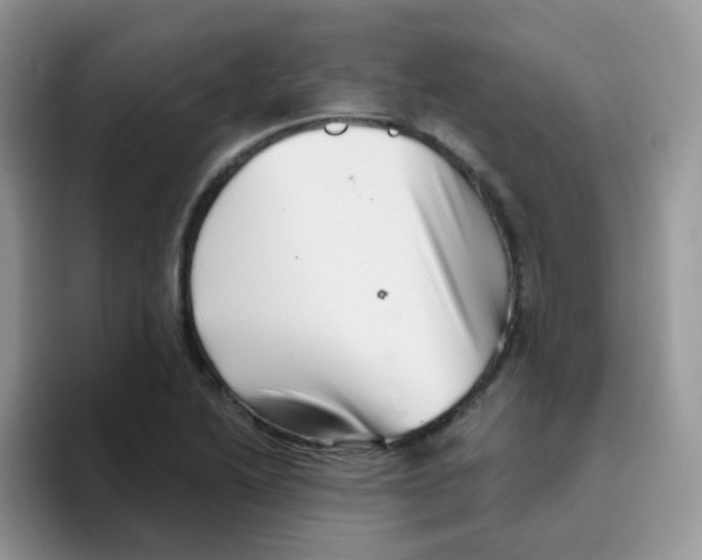 X0000095921222200802081106