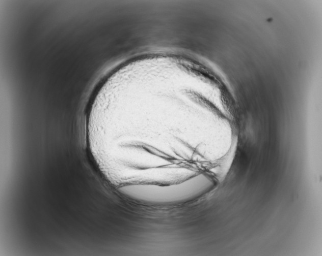 X0000095921223200802081106