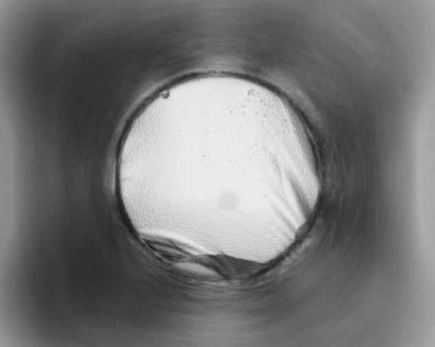 X0000095921224200802081106