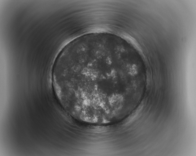 X0000095921226200802081106