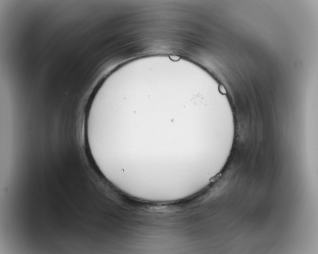 X0000095921227200802081107