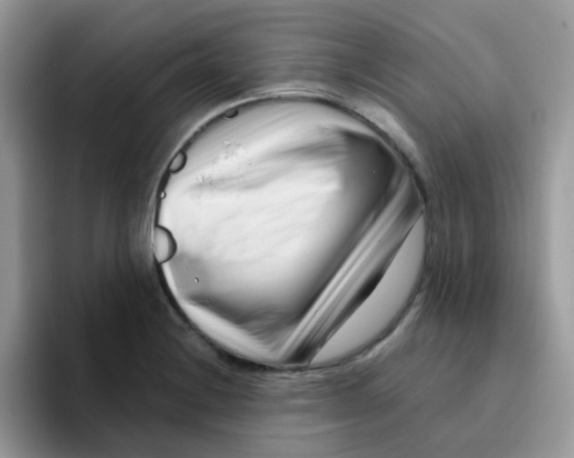 X0000095921228200802081107