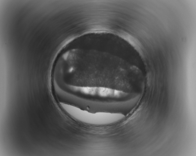 X0000095921229200802081107