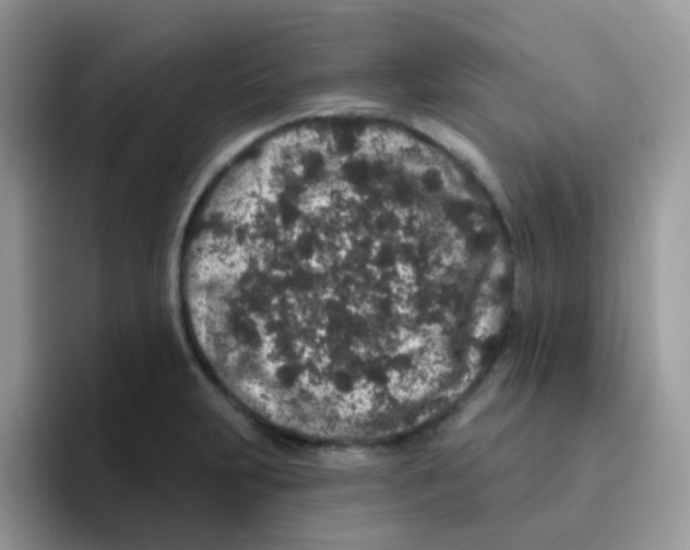 X0000095921231200802081107