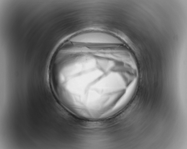 X0000095921232200802081107