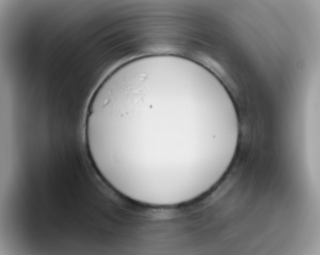 X0000095921236200802081107