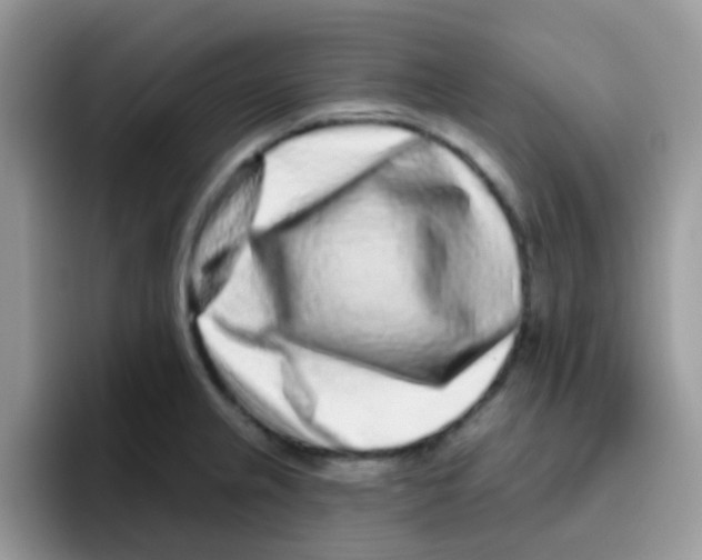 X0000095921237200802081107