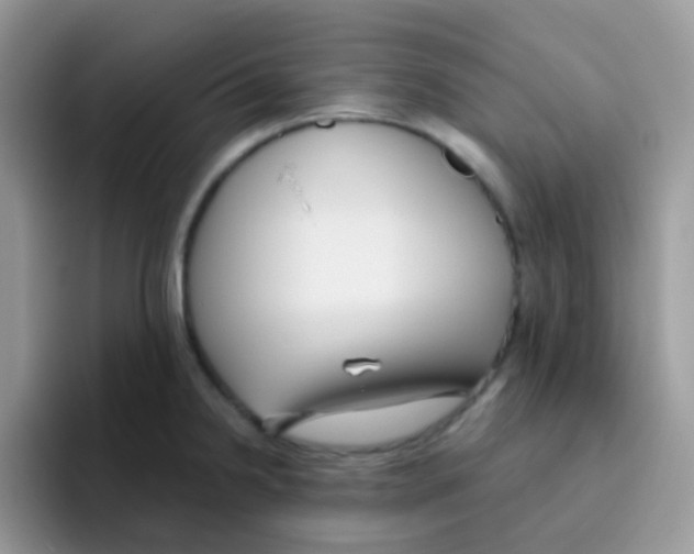 X0000095921238200802081107