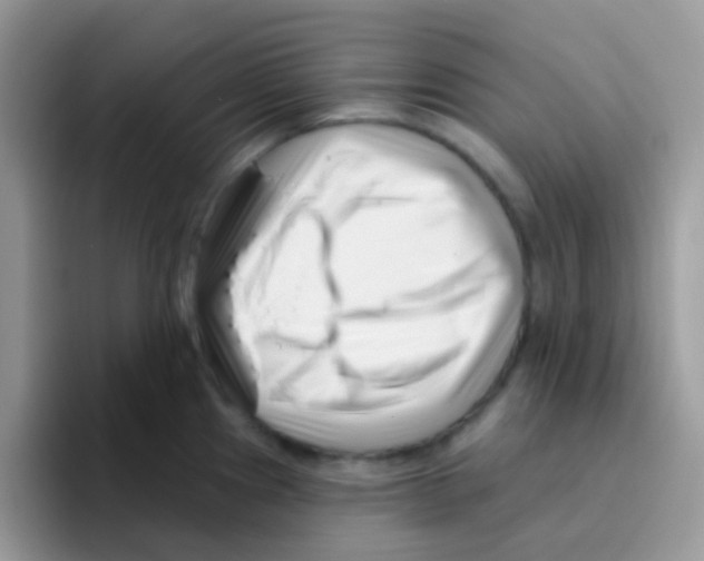 X0000095921241200802081107