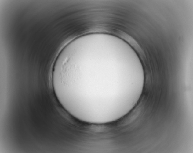 X0000095921242200802081107