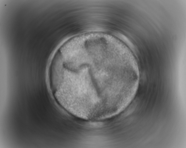 X0000095921243200802081107