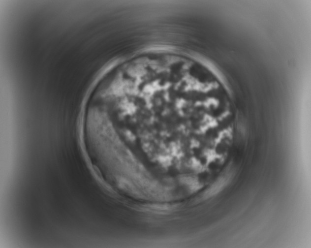 X0000095921245200802081107