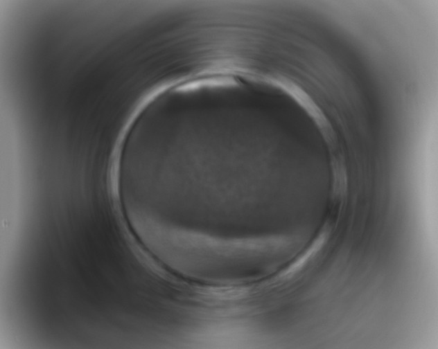 X0000095921246200802081107