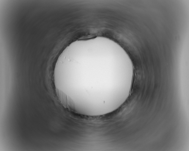 X0000095921249200802081106