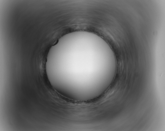 X0000095921250200802081106