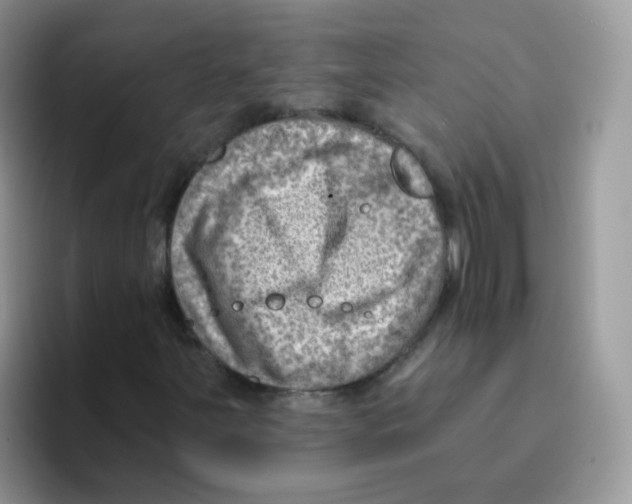 X0000095921251200802081106