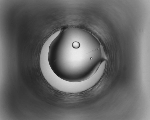 X0000095921252200802081106