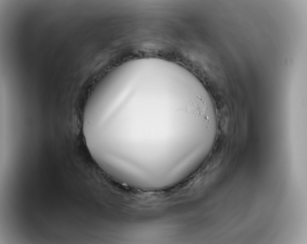 X0000095921253200802081106