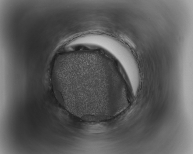 X0000095921256200802081106