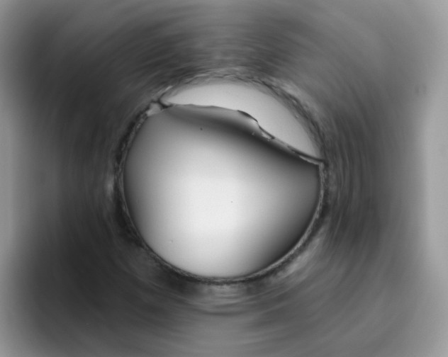 X0000095921257200802081106