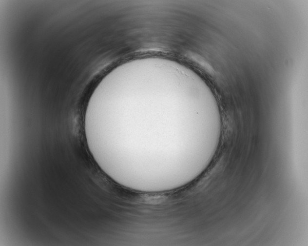 X0000095921258200802081106