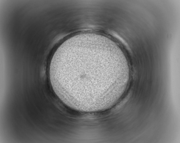 X0000095921259200802081106