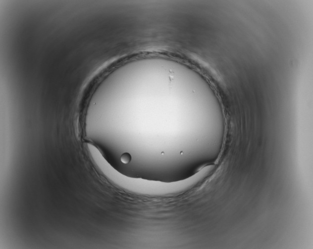 X0000095921262200802081106