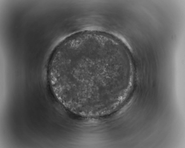 X0000095921263200802081106