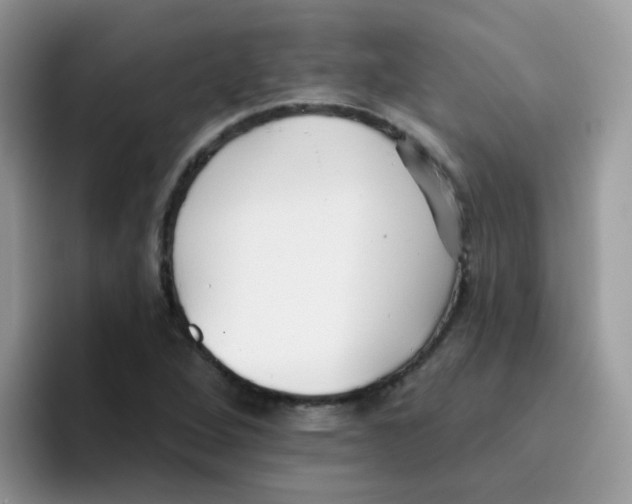 X0000095921264200802081106