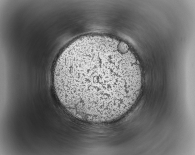 X0000095921267200802081106