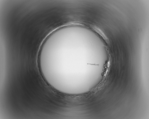 X0000095921268200802081106