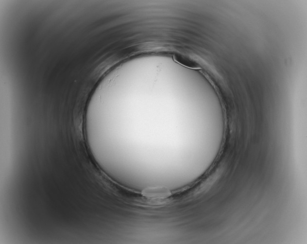 X0000095921273200802081106