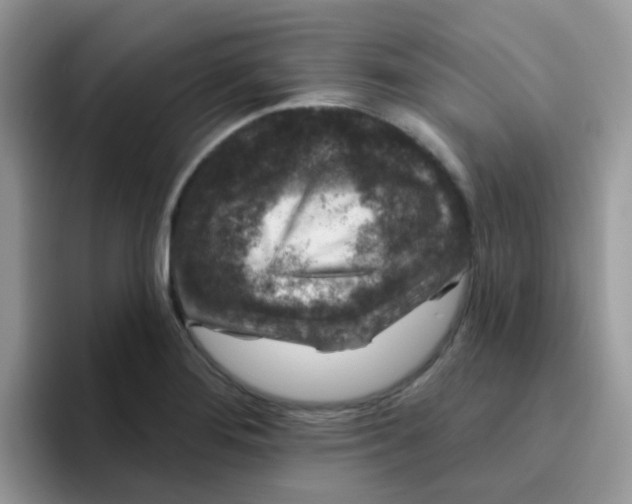 X0000095921276200802081106