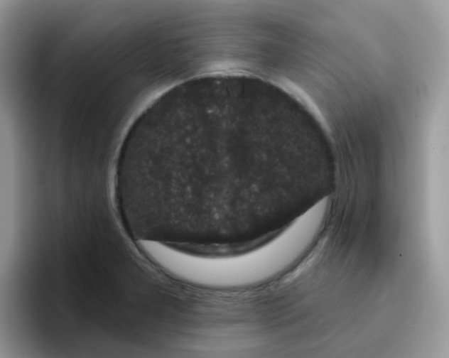 X0000095921277200802081106