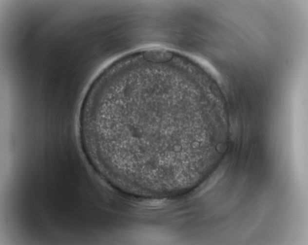 X0000095921279200802081106