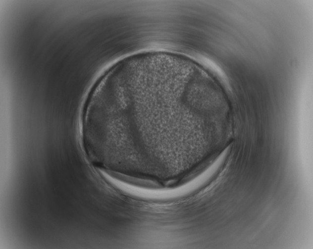 X0000095921280200802081106