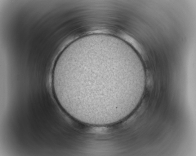 X0000095921282200802081106