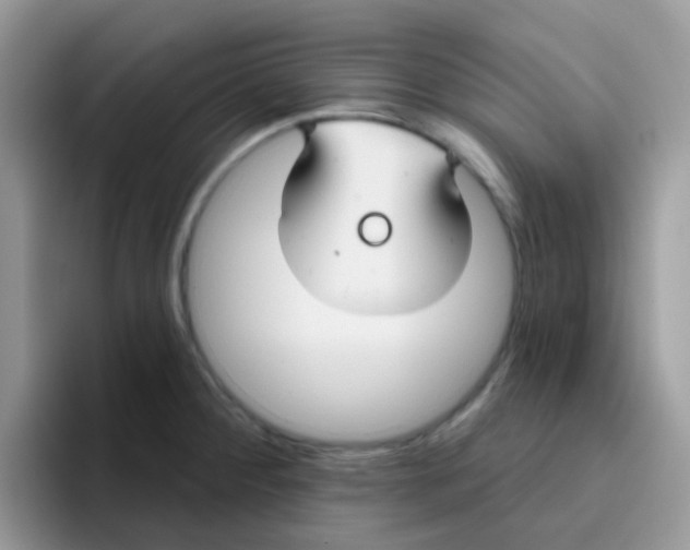 X0000095921284200802081106