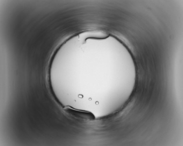 X0000095921285200802081106