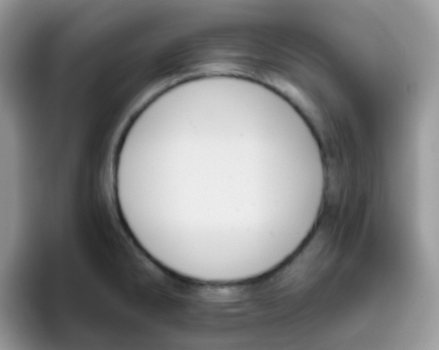 X0000095921286200802081106