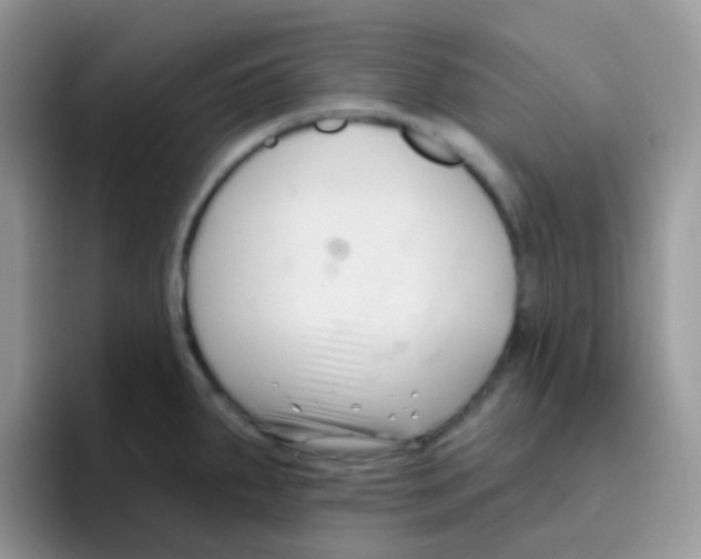 X0000095921287200802081106