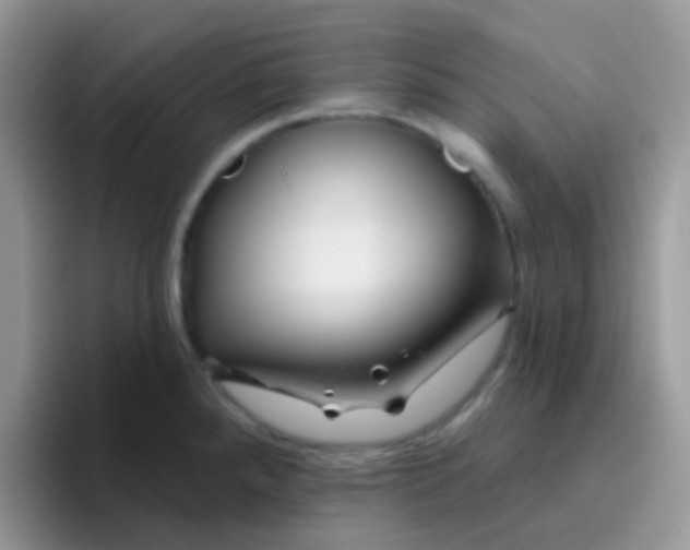 X0000095921288200802081106