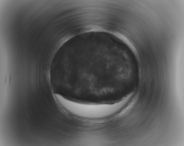 X0000095921289200802081106