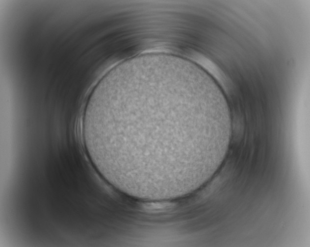 X0000095921290200802081106