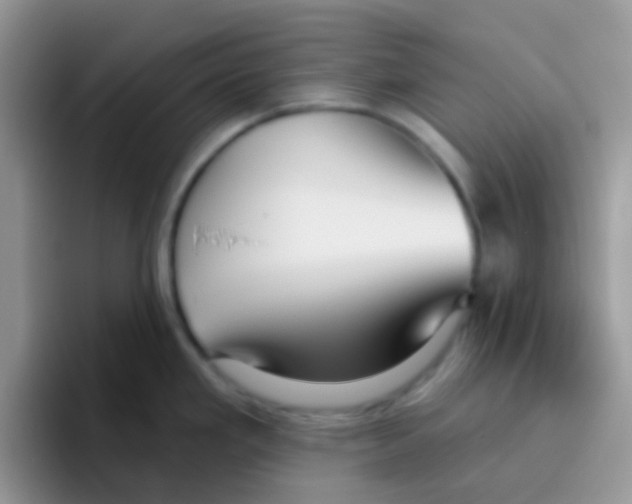 X0000095921293200802081106