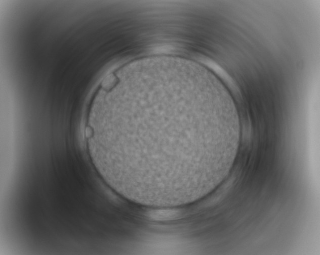 X0000095921294200802081106