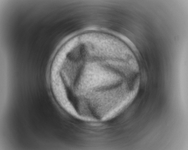 X0000095921295200802081106